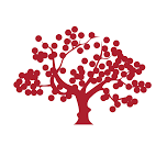 LiveOakBank