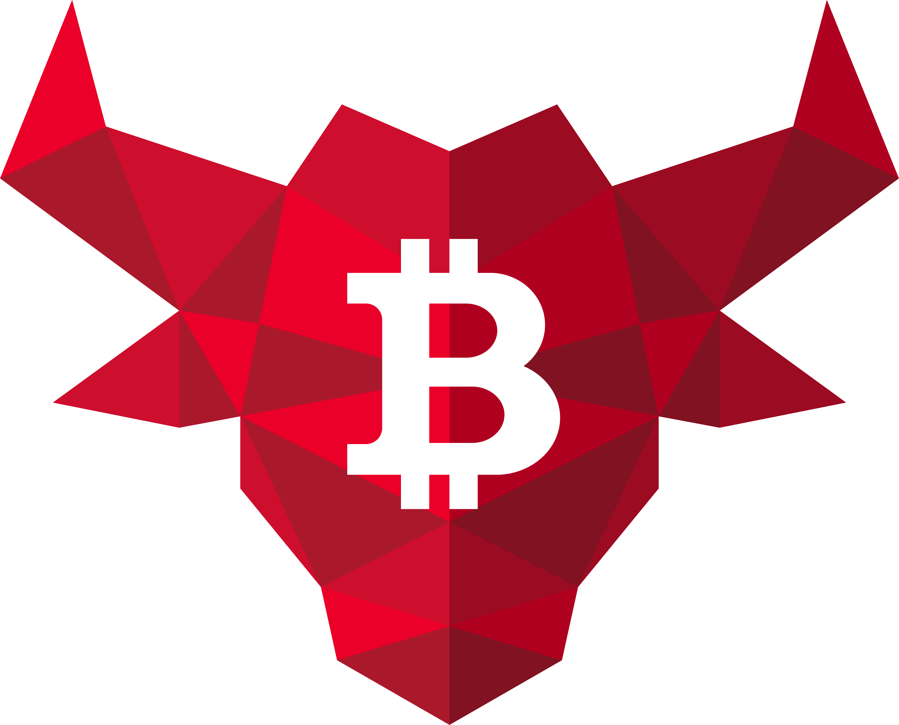BullBitcoins